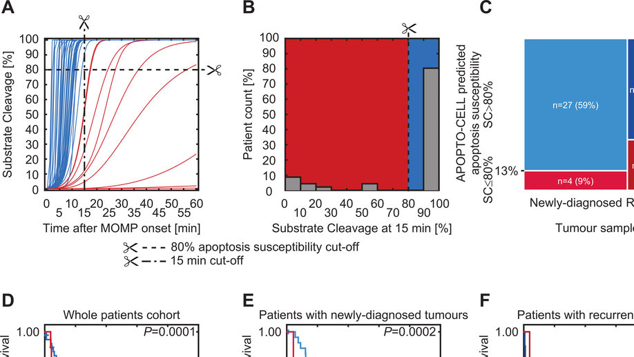 System-based Approaches as Prognostic Tools for Glioblastoma