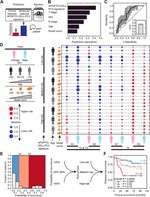 A stepwise integrated approach to personalized risk predictions in stage III colorectal cancer