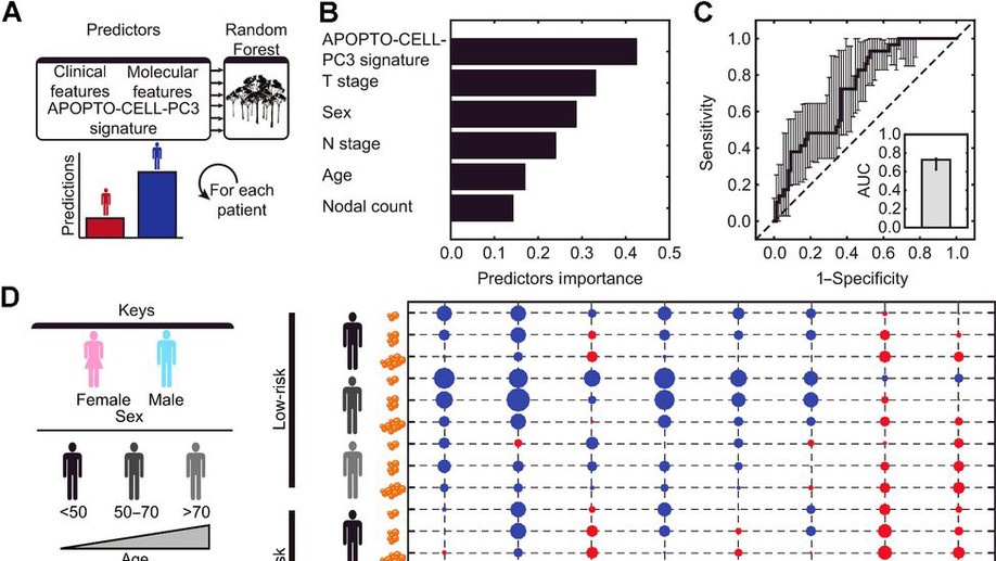 A stepwise integrated approach to personalized risk predictions in stage III colorectal cancer