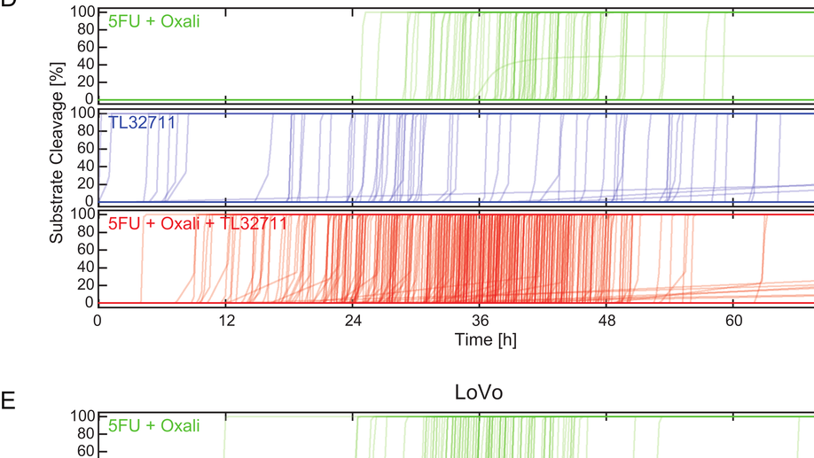 Simulating and predicting cellular and in vivo responses of colon cancer to combined treatment with chemotherapy and IAP antagonist Birinapant/TL32711