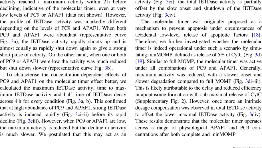 The apoptosome molecular timer synergises with XIAP to suppress apoptosis execution and contributes to prognosticating survival in colorectal cancer